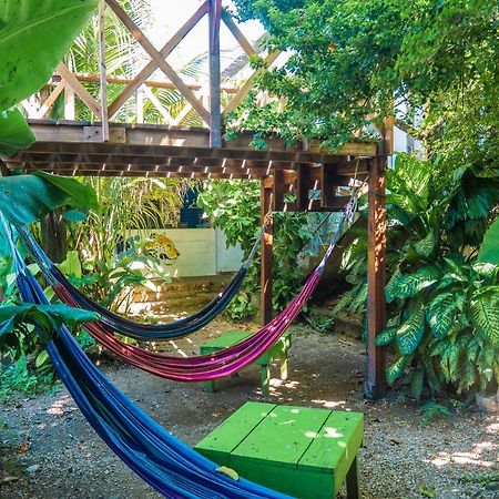 Ciao Cacao Hostel & Vegan Cafe Flores Eksteriør bilde