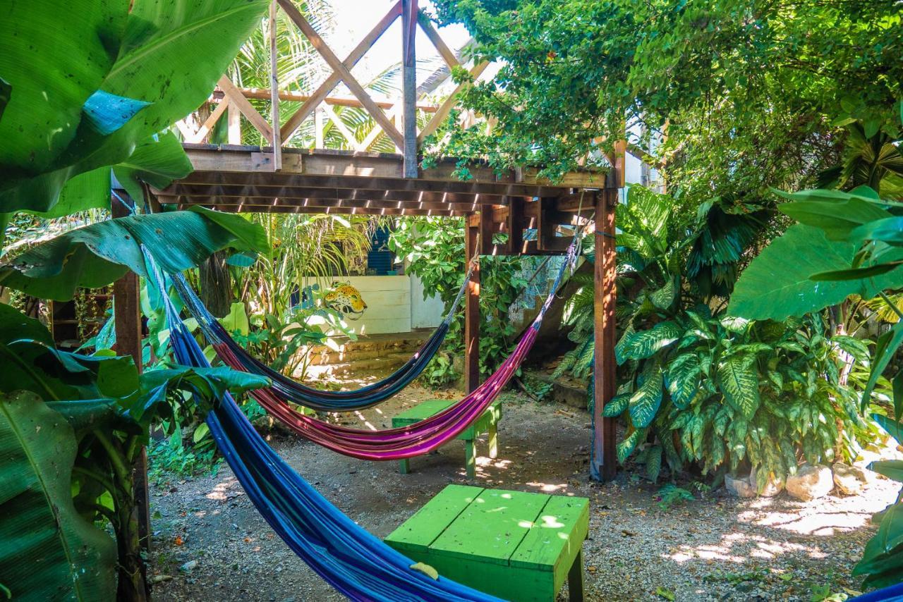 Ciao Cacao Hostel & Vegan Cafe Flores Eksteriør bilde