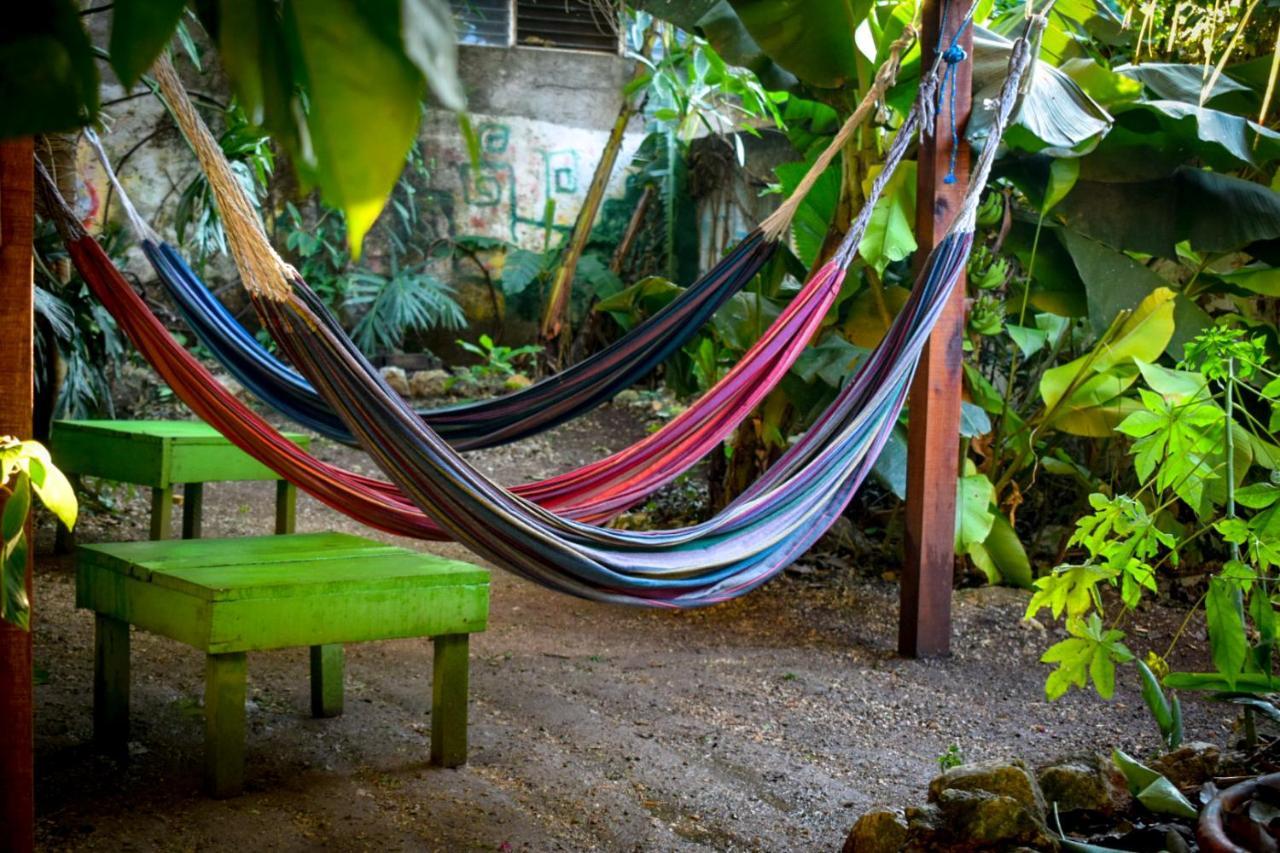 Ciao Cacao Hostel & Vegan Cafe Flores Eksteriør bilde
