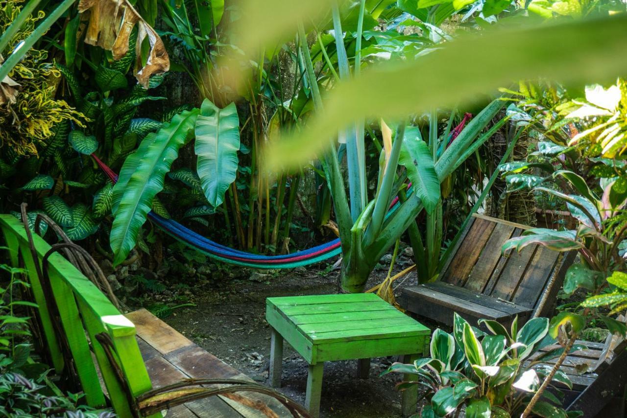 Ciao Cacao Hostel & Vegan Cafe Flores Eksteriør bilde
