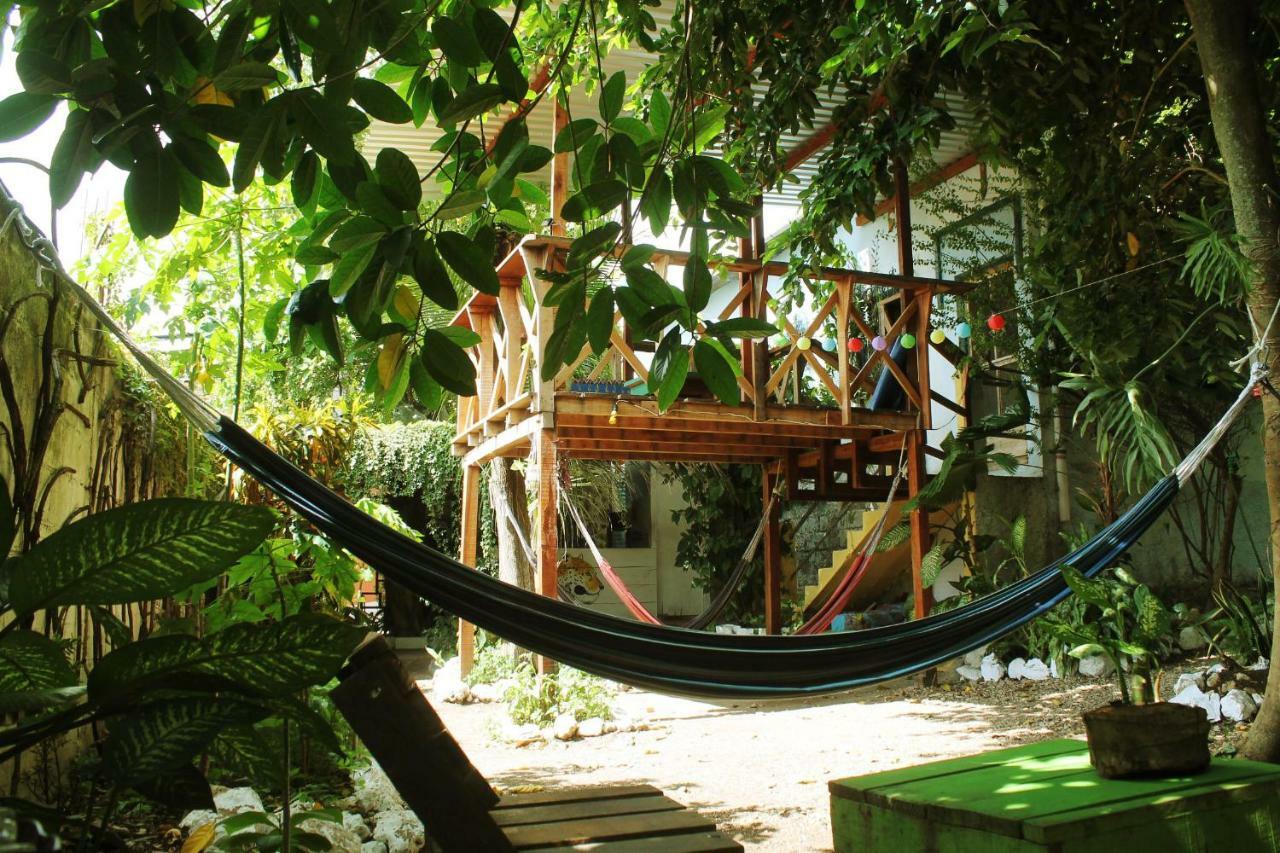 Ciao Cacao Hostel & Vegan Cafe Flores Eksteriør bilde