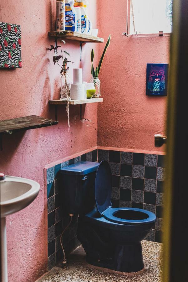 Ciao Cacao Hostel & Vegan Cafe Flores Eksteriør bilde